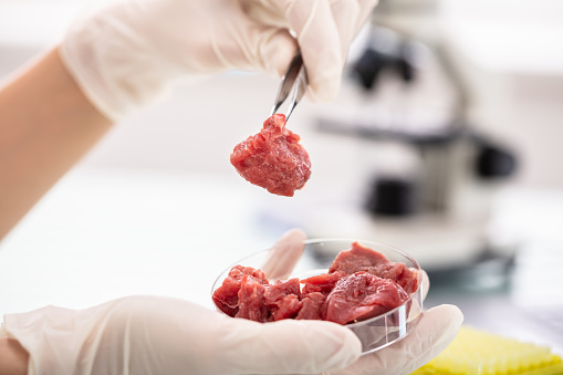 Guía para el establecimiento de criterios para la solicitud de pruebas de eliminación de residuos/Guideline for establishing criteria for the application for residue depletion testing.pptx