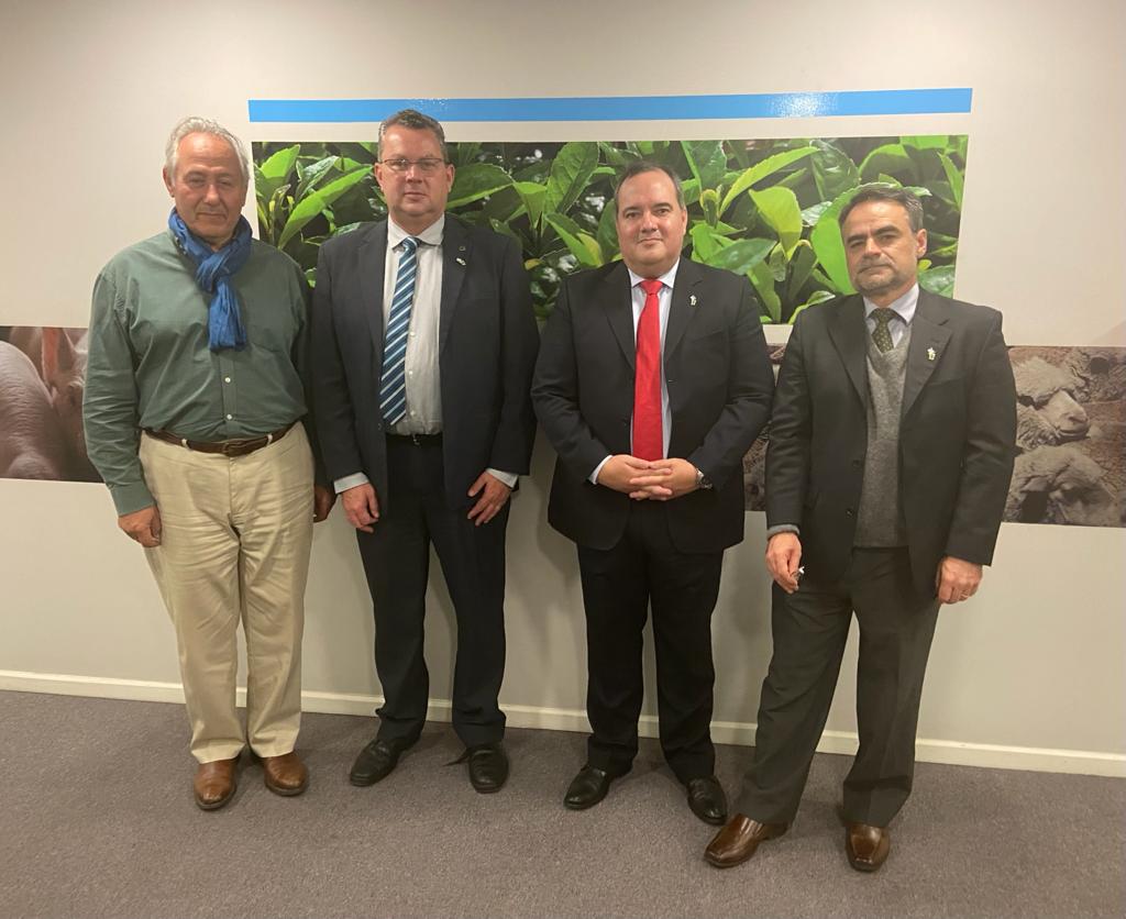 Luis Barcos, José Guilherme Tollstadius, Marcos Vinícius de Santana Leandro Júnior, Bruno Cotta