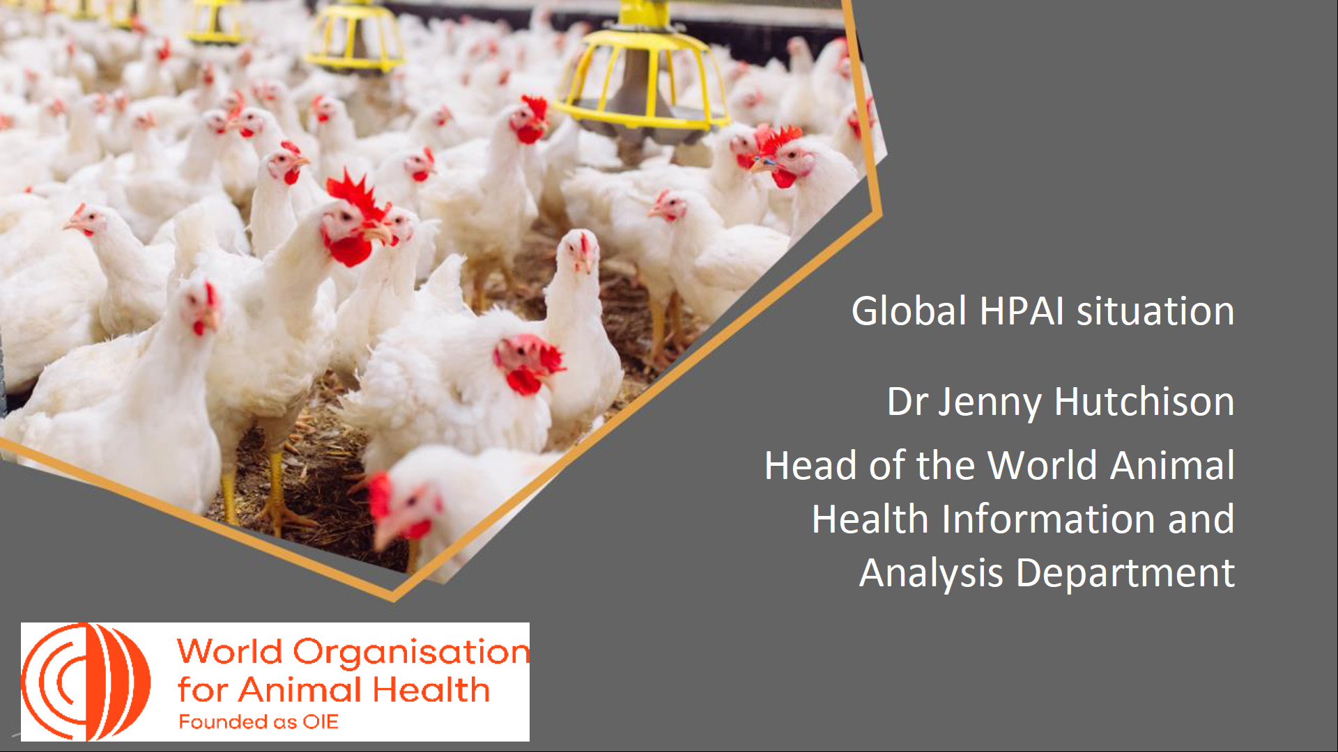 Global HPAI Situation