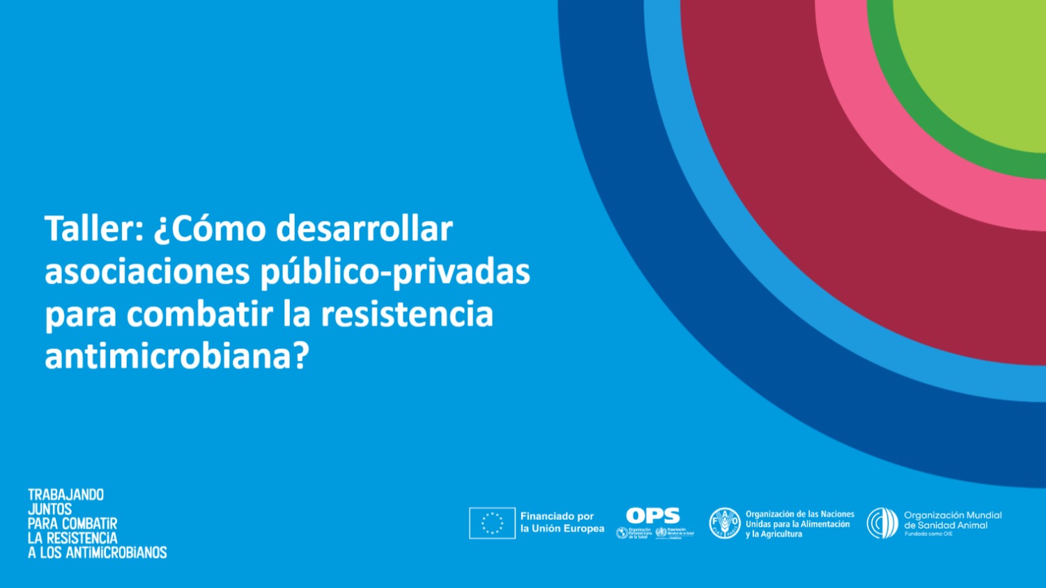 Objetivos del taller