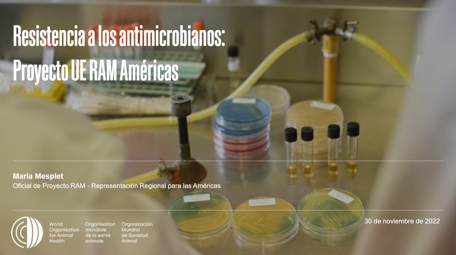 Proyecto UE RAM Américas