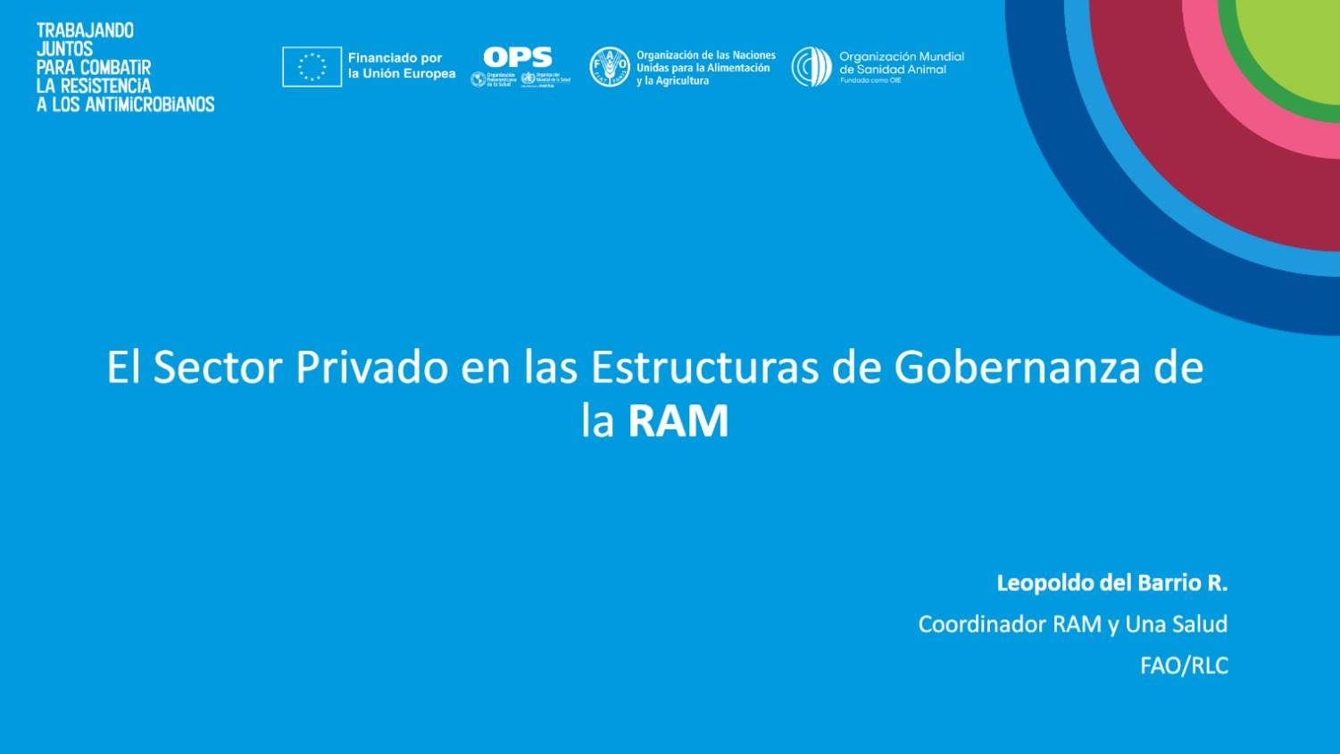 El sector privado en las estructuras de gobernanza de la RAM