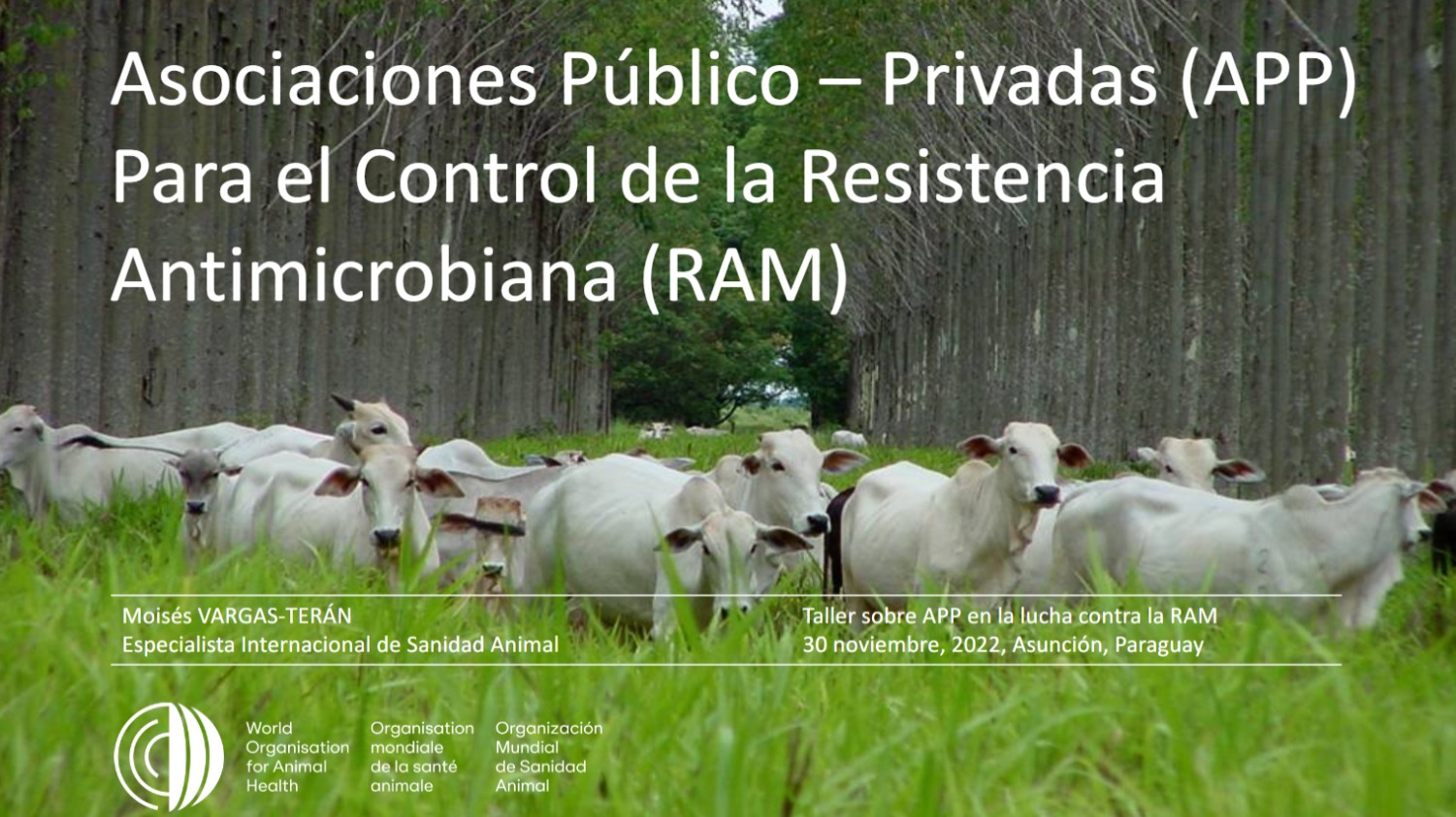 APP para el control de la RAM