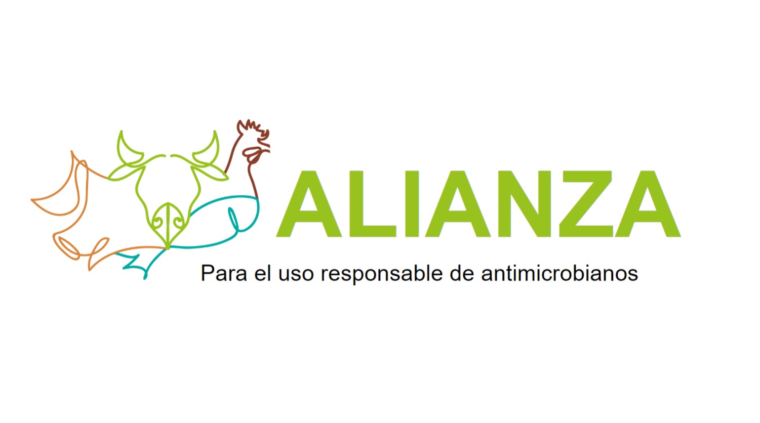 Presentación Brasil