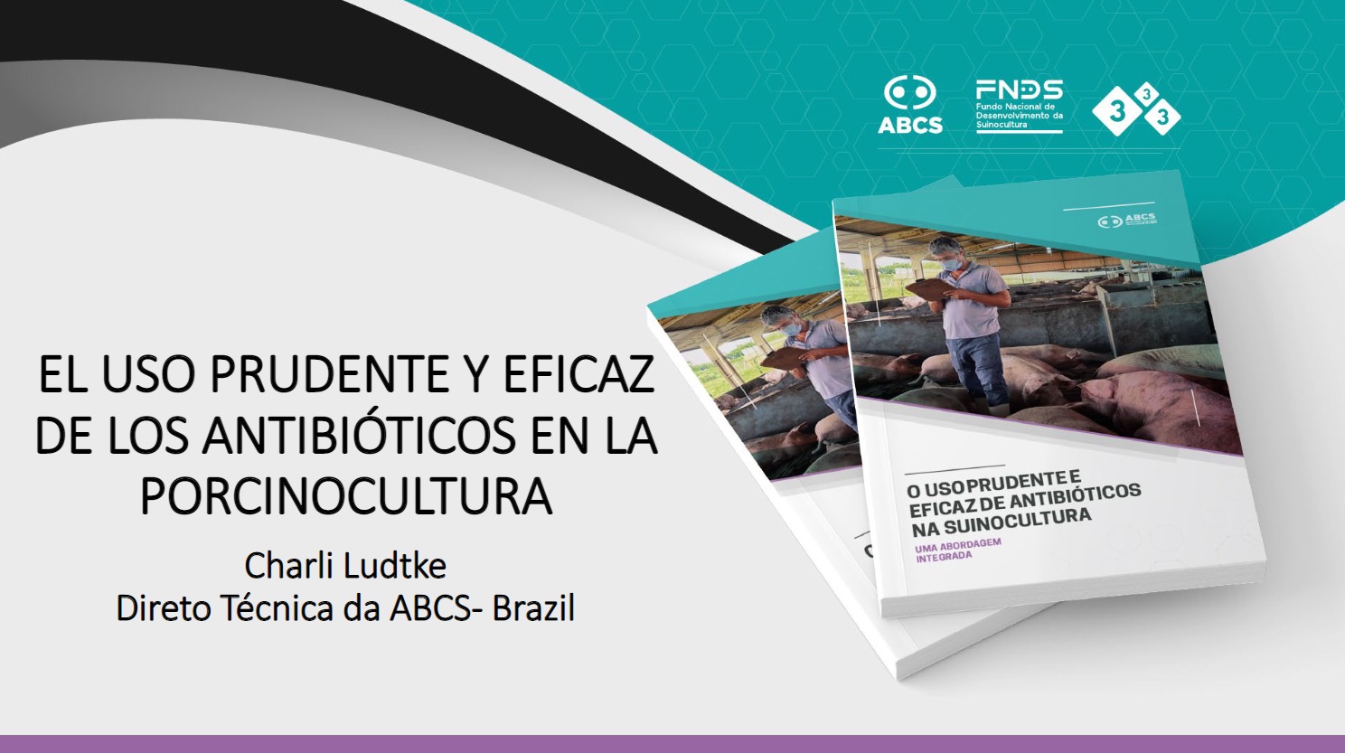 Presentación Brasil