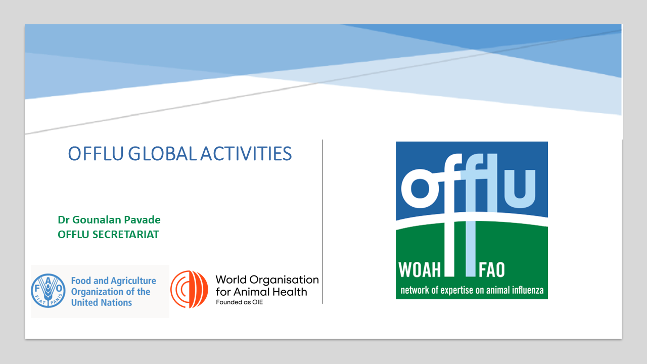 OFFLU Global activities
