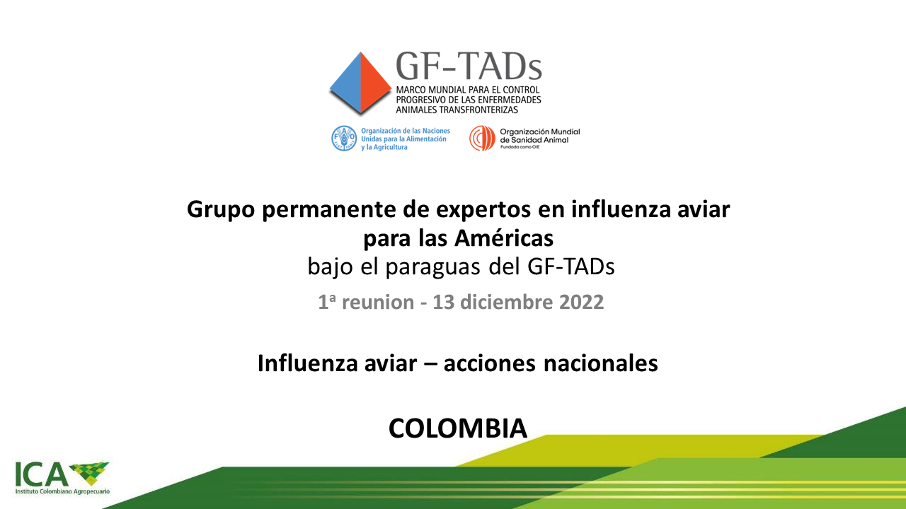 Influenza aviar: Acciones nacionales - Colombia