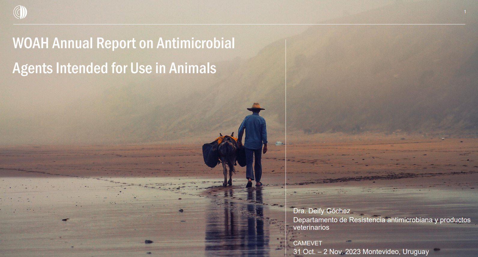 Estrategia de la OMSA sobre la RAM y el uso prudente de los antimicrobianos