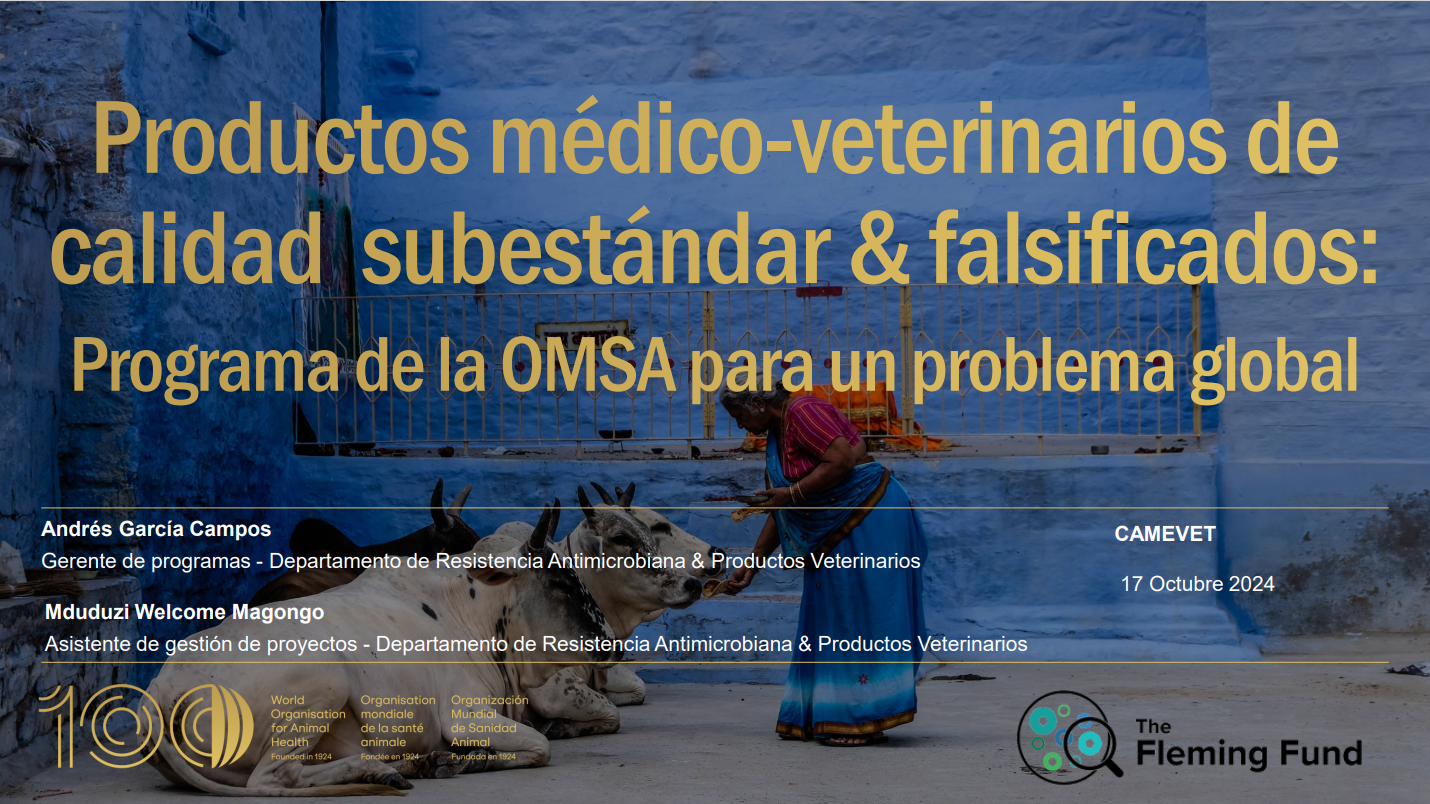 Productos subestándar y falsificados/Substandard and counterfeit products