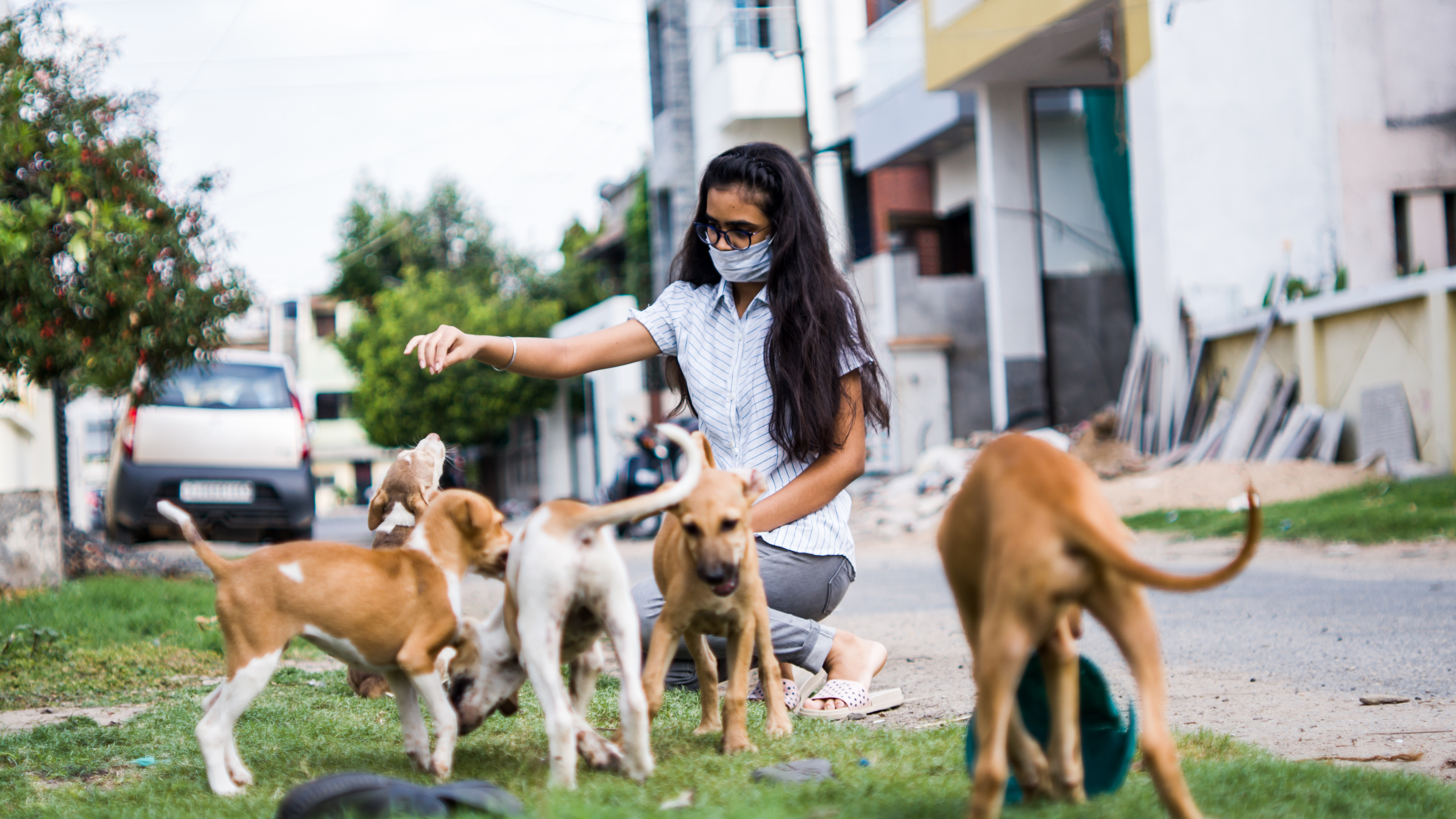 La rabia es una enfermedad mortal que afecta el sistema nervioso de mamíferos, incluidos humanos. Su prevención es posible a través de la colaboración entre sanidad animal y salud publica en actividades de vigilancia, vacunación masiva de perros y educación.