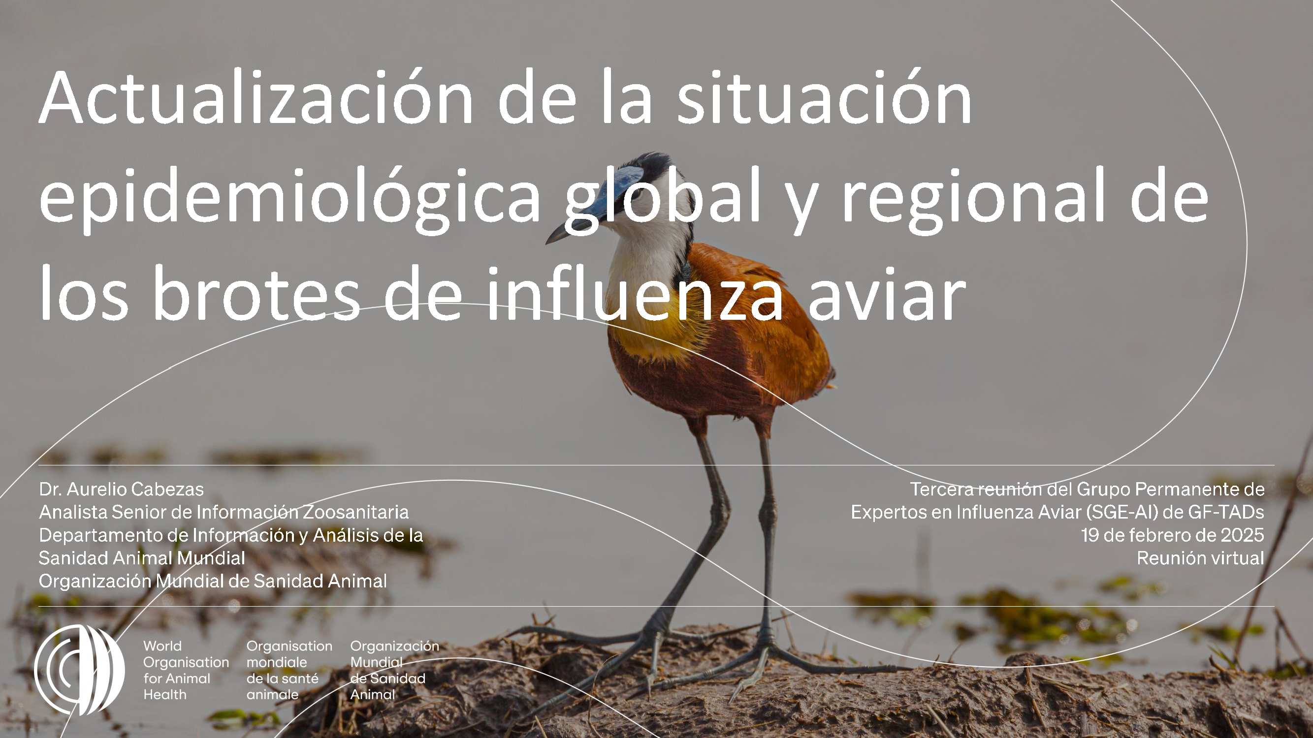Actualización de la situación epidemiológica global y regional de los brotes de influenza aviar