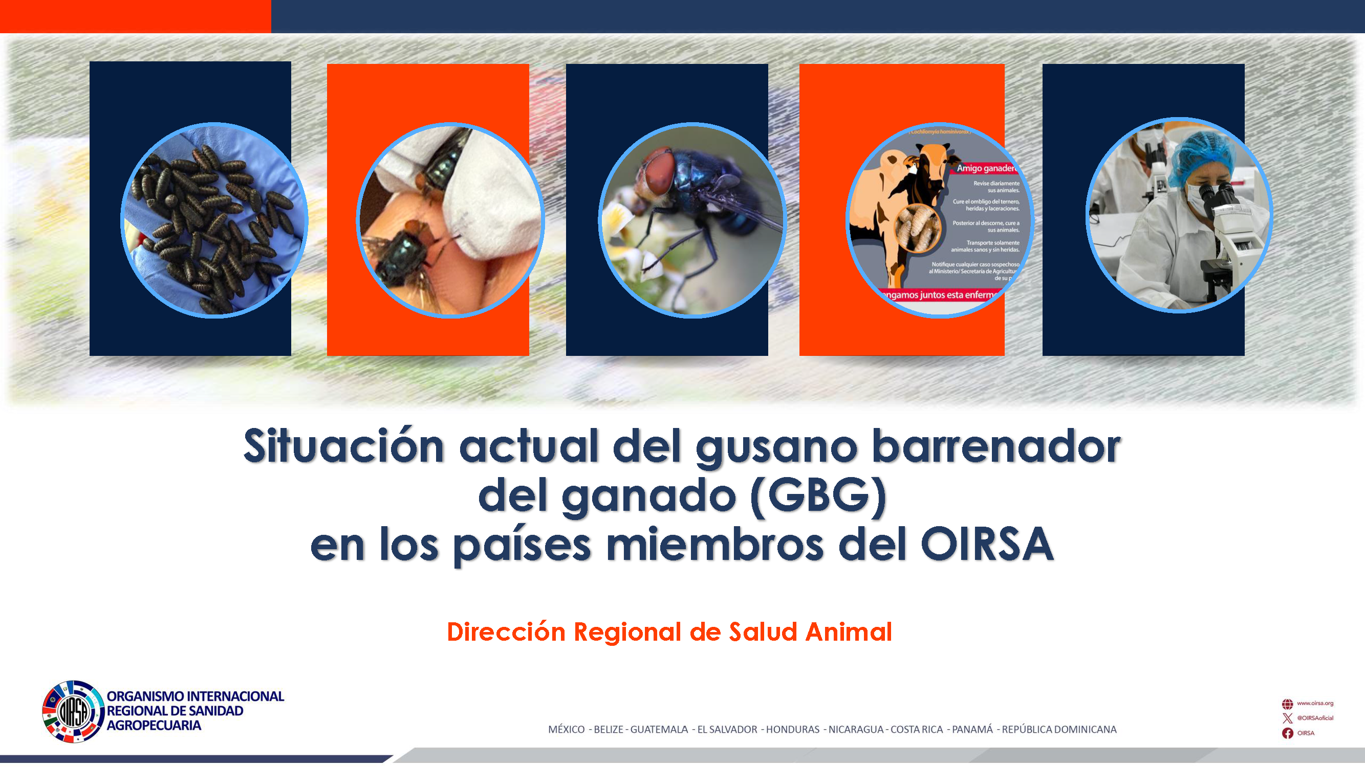 Current situation of NWSW in OIRSA member countries