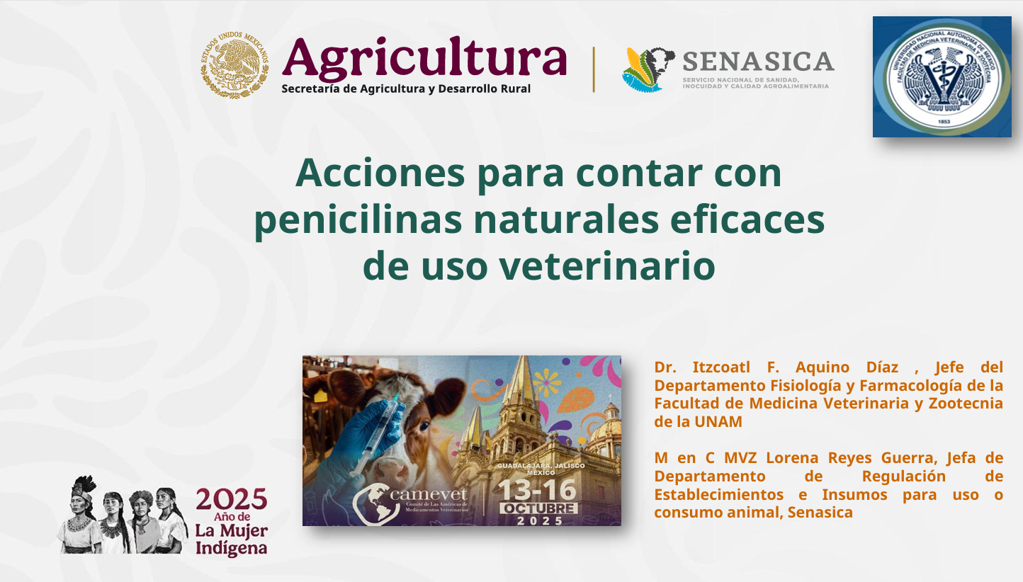 Acciones para contar con penincilinas naturales eficaces de uso veterinario en México/Actions to ensure effective natural penicillins for veterinary use in Mexico
