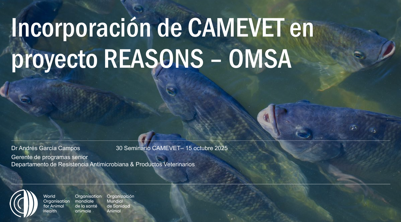Incorporación de CAMEVET en el proyecto REASONS/Incorporation of CAMEVET into the REASONS project