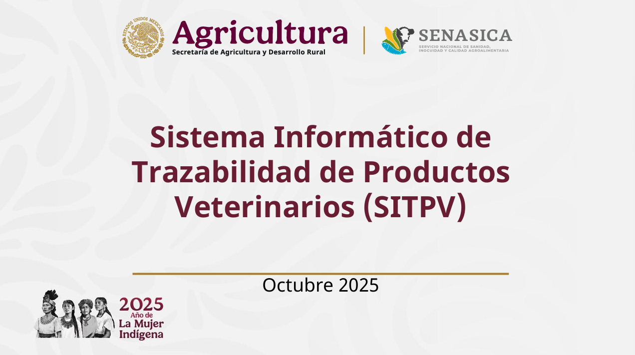 Sistema de prescripción electrónica-México/Electronic prescription system-Mexico
