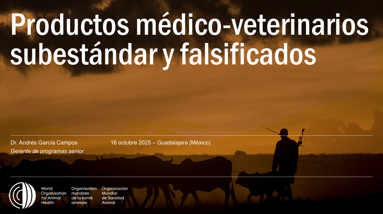 Productos subestándar y falsificados/Substandard and counterfeit products