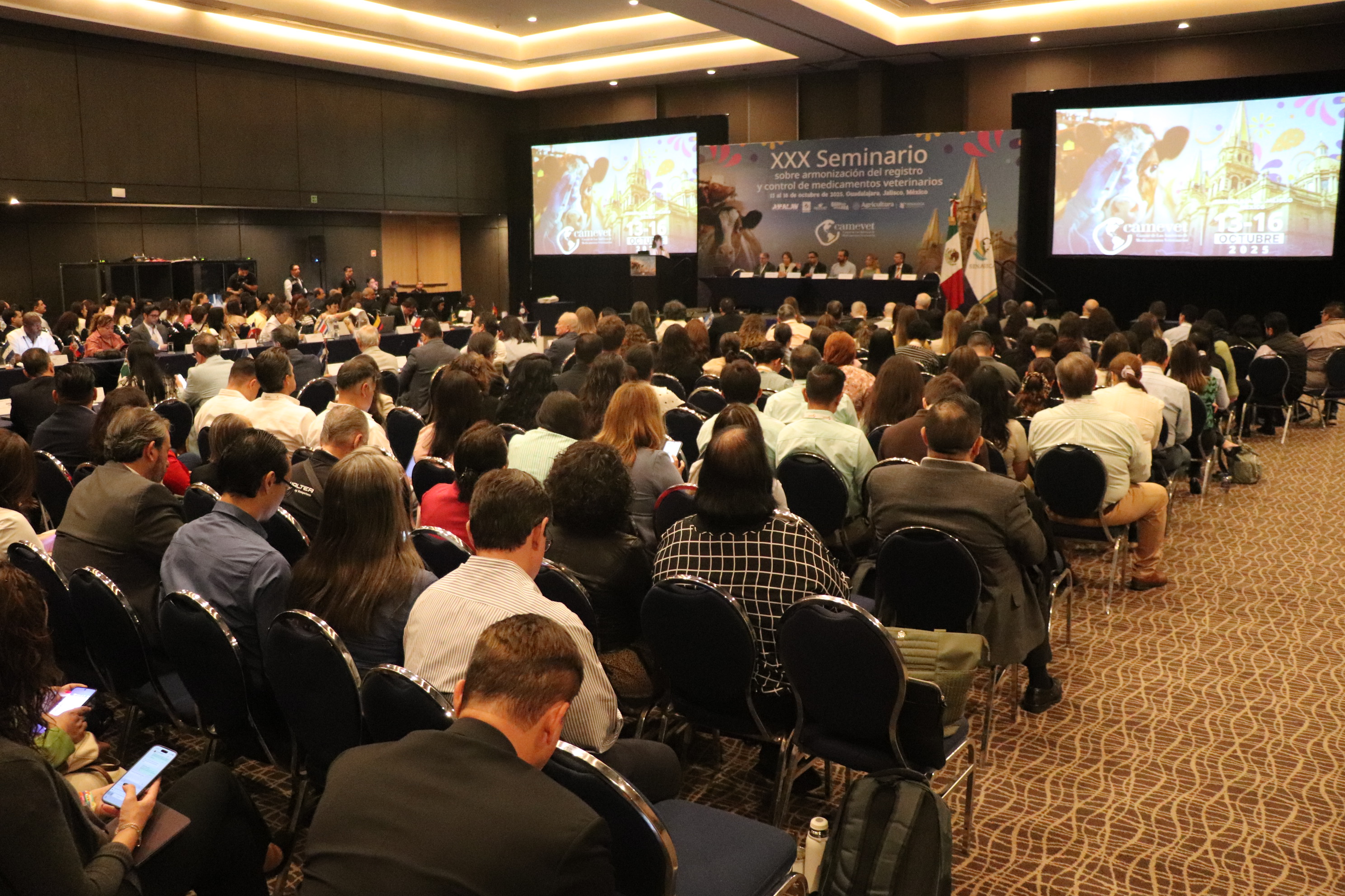 Procedimiento para la elaboración de documentos armonizados/Procedure for the preparation of harmonised documents