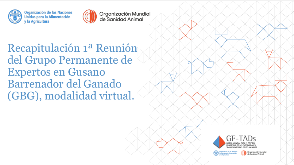Recapitulación 1ª Reunión del Grupo Permanente de Expertos en GBG, modalidad virtual