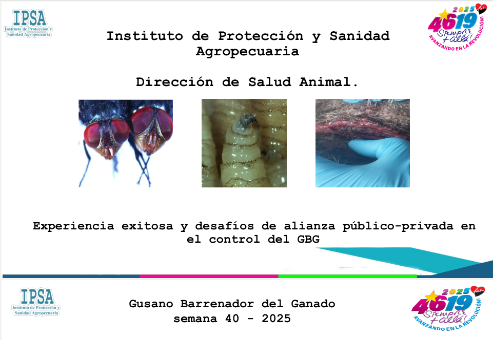 Experiencia exitosa y desafíos de alianza público-privada en el control del GBG