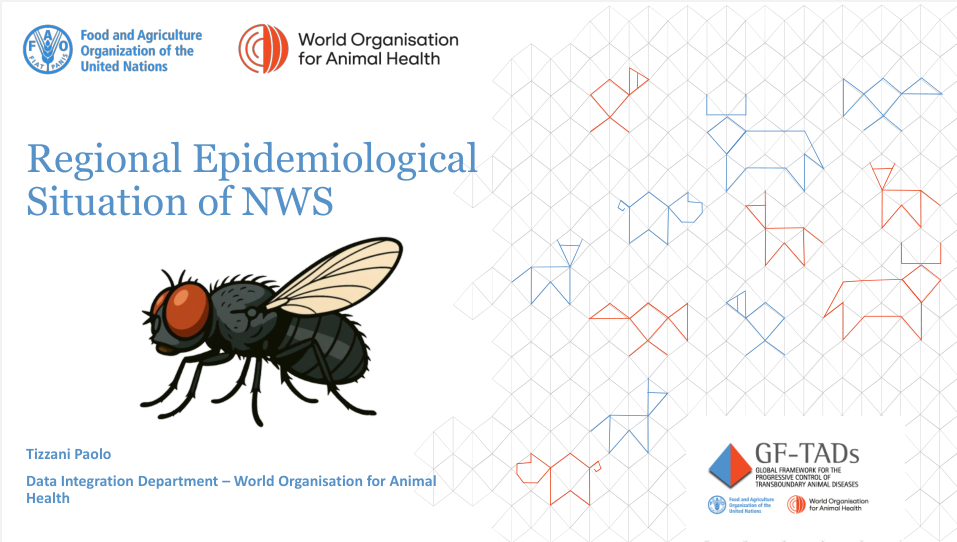 Regional Epidemiological Situation of NWS