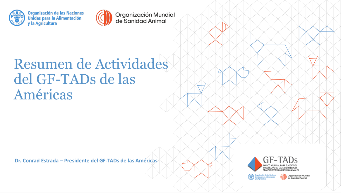 Resumen de Actividades del GF-TADs de las Américas