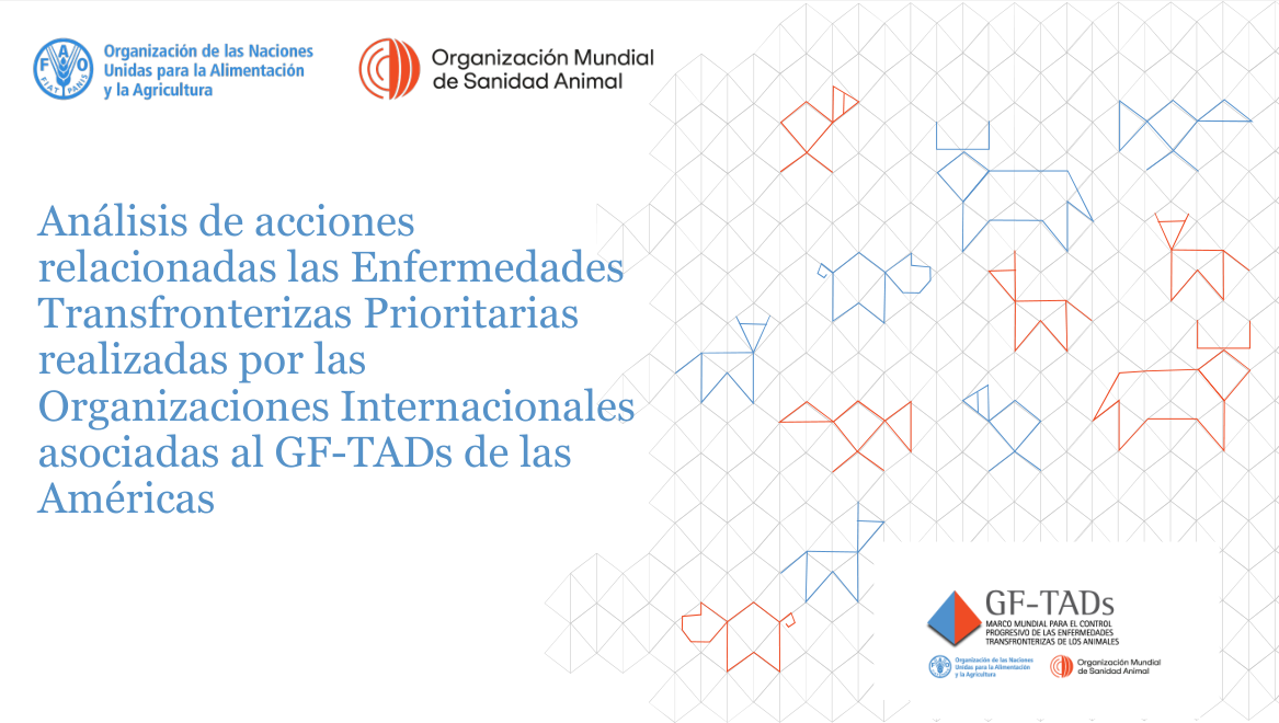 Análisis de acciones relacionadas las Enfermedades Transfronterizas Prioritarias realizadas por las Organizaciones Internacionales asociadas al GF-TADs de las Américas