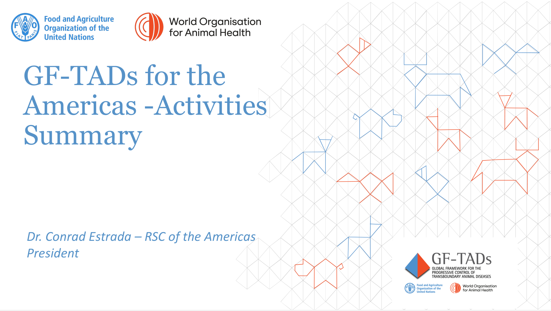 GF-TADs for the Americas -Activities Summary